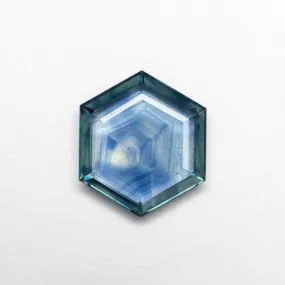 1.27ct 8.63x7.44x1.77mm Hexagon Portrait Cut Sapphire 23469-03