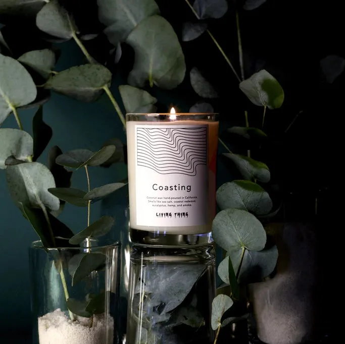 Coasting: Eucalyptus + Redwood Big Sur Ocean Candle