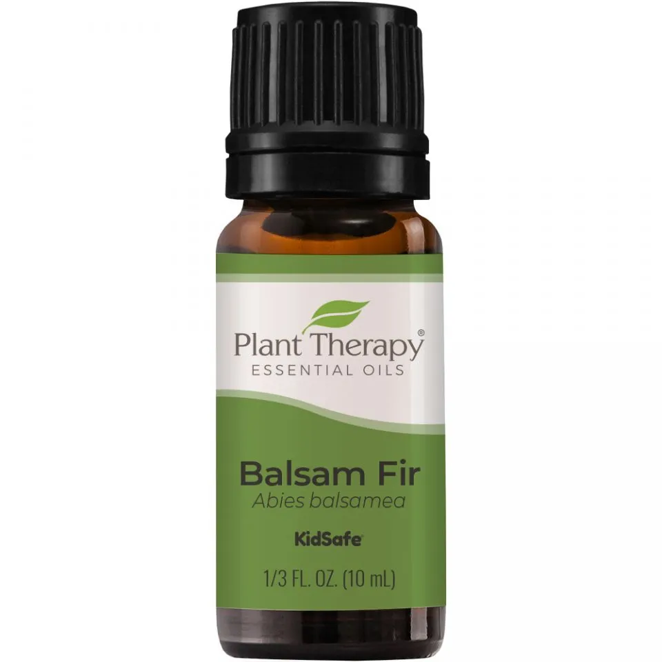 Plant Therapy Balsam Fir Essential Oil