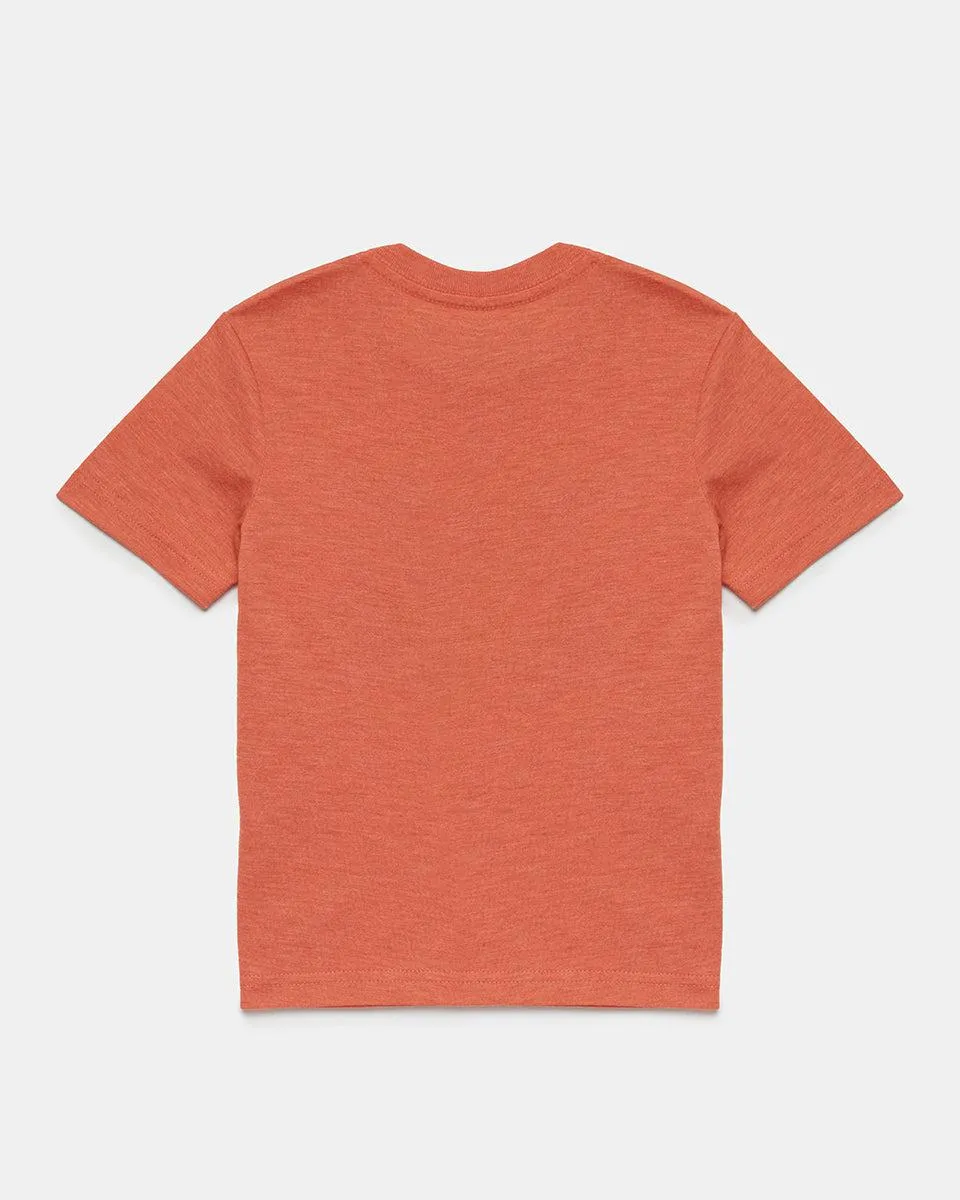 Tentree Kids Camping T-shirt In Terracotta Heather/ Mimosa